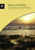 Lake Turkana Cover